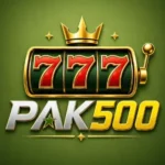 pak500 Game